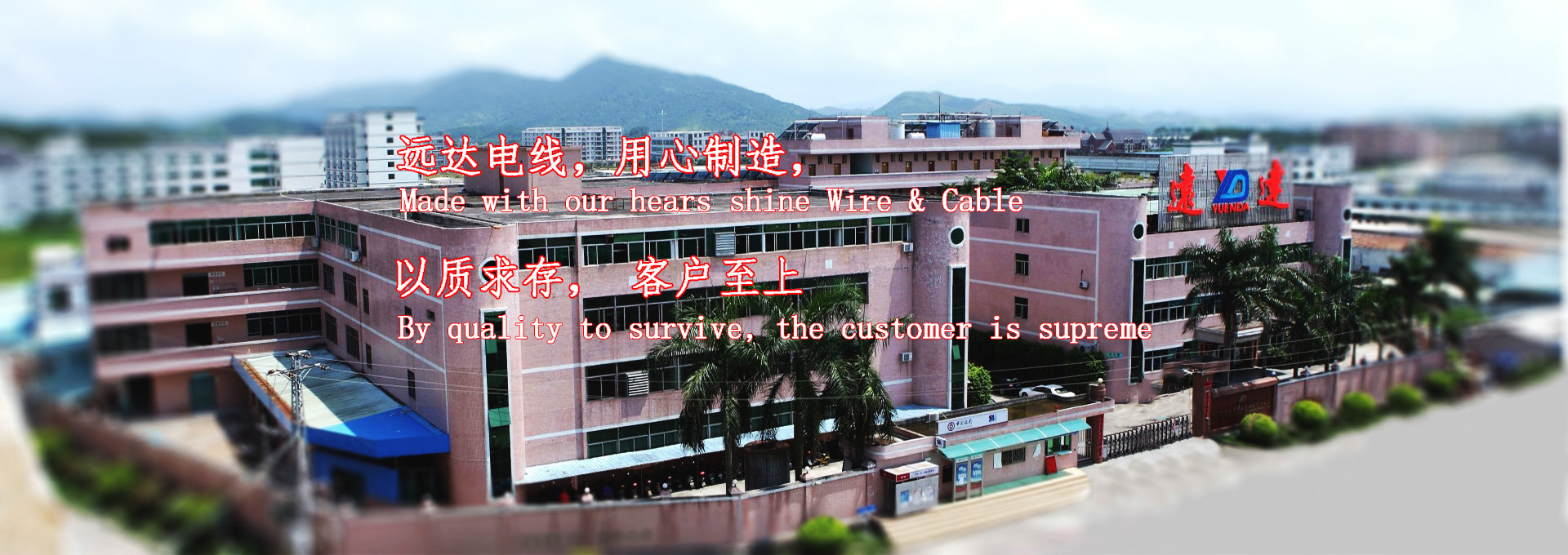 qqpk在线